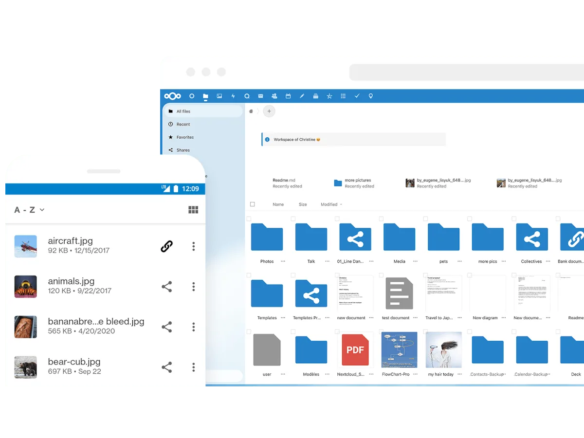 Nextcloud files open in a browser on a Syncloud server
